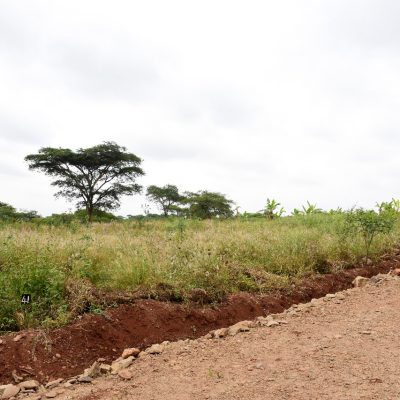 WhatsApp Image 2023-11-17 at 11.44.02_09a77591