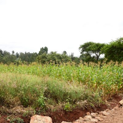 WhatsApp Image 2023-11-17 at 11.44.02_6c0e85b0