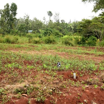 WhatsApp Image 2023-11-17 at 11.44.04_b004ef2f