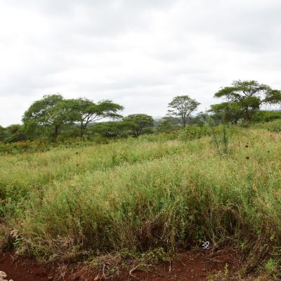 WhatsApp Image 2023-11-17 at 11.44.05_2697dd3d