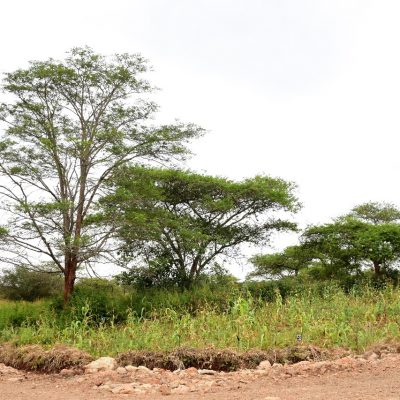 WhatsApp Image 2023-11-17 at 11.44.06_353ea834