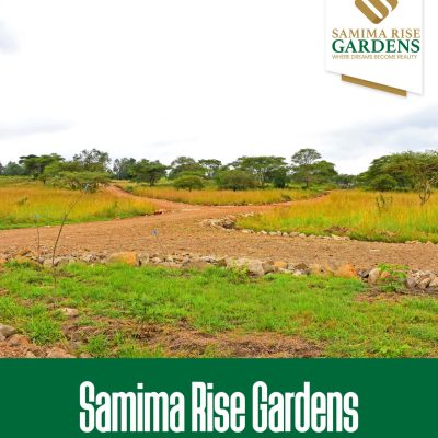 WhatsApp Image 2024-07-17 at 13.15.28_153586fb