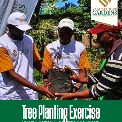 WhatsApp Image 2024-07-17 at 13.15.29_58e29b05