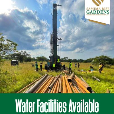 WhatsApp Image 2024-07-17 at 13.15.30_2729518c