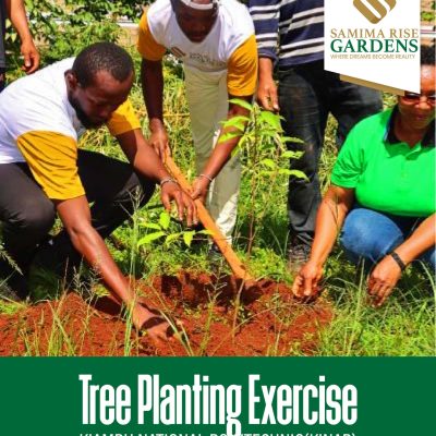 WhatsApp Image 2024-07-17 at 13.15.30_64f7cccd