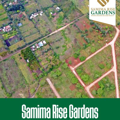 WhatsApp Image 2024-07-17 at 13.15.31_83a81ca5