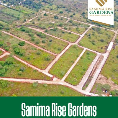 WhatsApp Image 2024-07-17 at 13.15.31_ba86bcf9