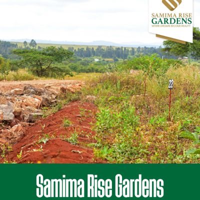 WhatsApp Image 2024-07-17 at 13.15.31_c48beedd